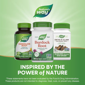 Nature'S Way Burdock Root, Traditional Joint Support*, 100 Vegan Capsules (Packaging May Vary)