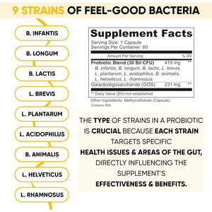 Lifted Naturals Mood Boosting Probiotic 30 Billion CFU - Mood Support Supplement, Prebiotics and Probiotics for Women & Men, Acidophilus Lactobacillus Probiotic, Shelf Stable & Non-Gmo, 60 Capsules