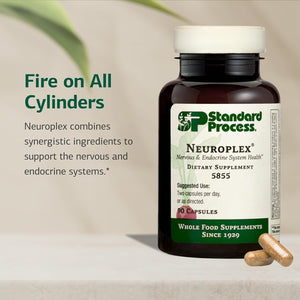 Standard Process - Neuroplex - Supports Nervous and Endocrine Systems - 90 Capsules