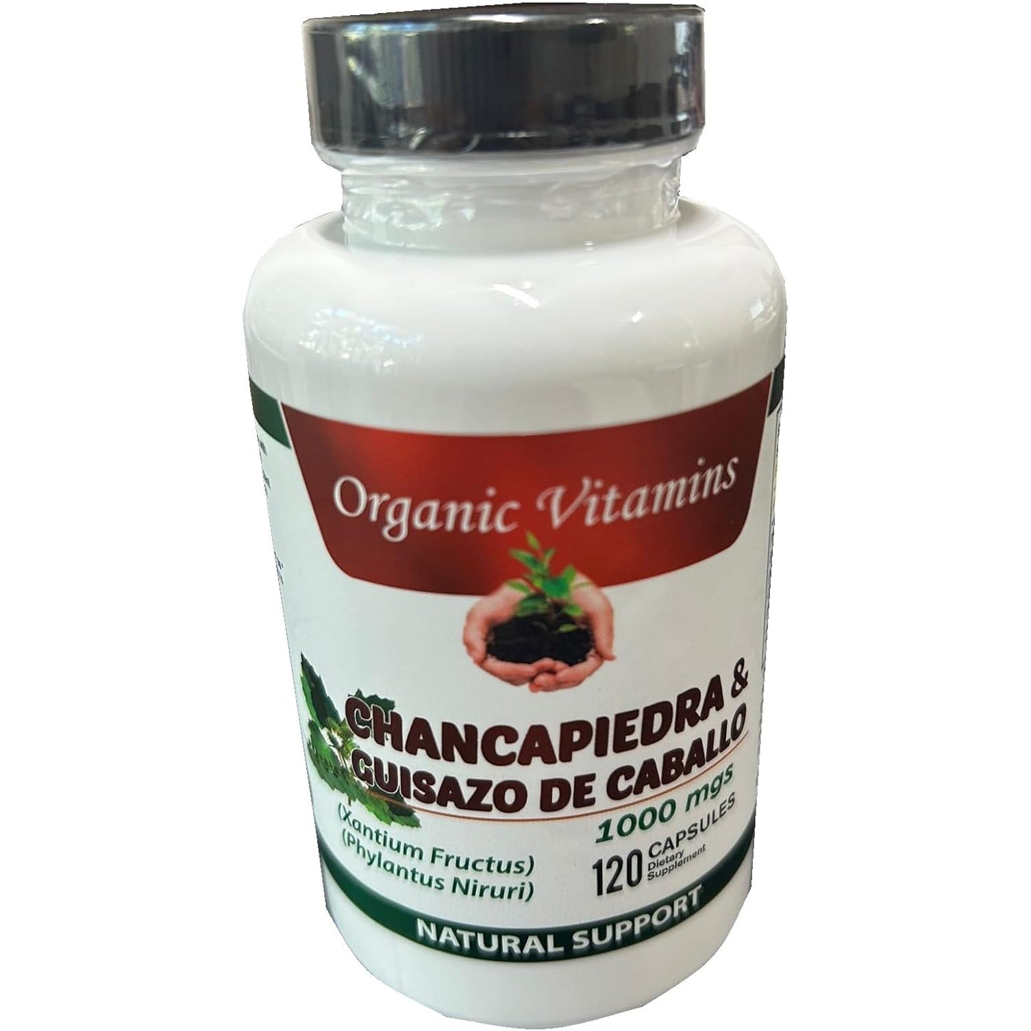 Guisazo De Caballo and Chancapiedra by Life Naturals 120 Caps Chanca Piedra Pure