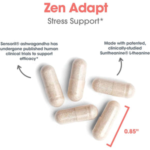ARG Zen Adapt - 200 Mg L-Theanine, 125 Mg Ashwagandha & 550 Mg GABA - Supports Stress Response and Calmness - Vegetarian Capsules - Hypoallergenic Formula - 30 Servings - 60 Capsules