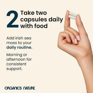 ORGANICS NATURE Irish Sea Moss Capsules 45 Servings | High Potency Seamoss Pills | Dr. Sebi Approved Sea Moss for Energy 90 Vegan Capsules