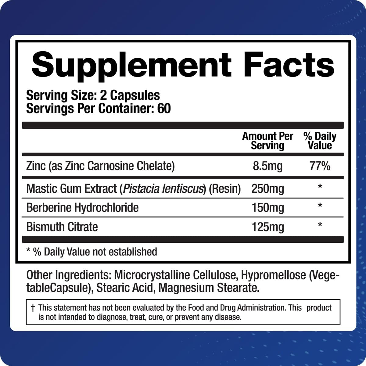 Biomatrix Pylor-X Gut Health Supplement – Mastic Gum, Berberine, Zinc Carnosine & Bismuth Salts for Gastric Support, Digestive Comfort, Stomach Lining Protection - (120 Capsules) 30-60 Day Supply