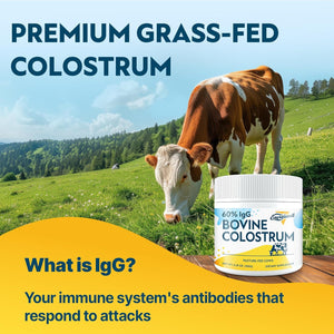 Energievoll Bovine Colostrum Supplement Powder - 60% Igg 3000 Mg for Gut, Hair Growth, Beauty, and Immune, Easy to Mix, Unflavored (50 Servings)