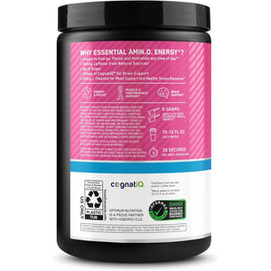 Optimum Nutrition Amino Energy Powder plus Focus, with BCAA, Electrolytes, and Caffeine, Watermelon, 30 Servings (Packaging May Vary)
