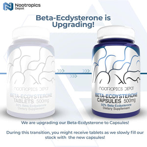 Nootropics Depot Beta Ecdysterone/20-Hydroxyecdysone 50% Capsules | 500Mg | Cyanotis Arachnoidea Extract | Phytoecdysteroid | 30 Count
