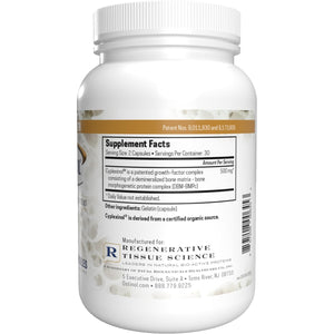 ZYCAL Ostinol Maximum Strength 500 Mg - Bone & Joint Supplement for Intense Bone Loss and Joint Dysfunction - 60 Capsules