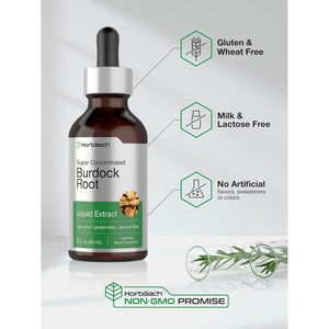 Horbäach Burdock Root Tincture | 2 Fl Oz | Super Concentrated Herb Extract | Vegetarian, Non-Gmo, Glutren Free, Alcohol Free