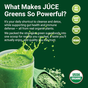 Terra Kai Organics JUCE Green Superfood Powder, Organic Fruits and Veggies Supplement W/ 77 Superfoods plus Prebiotic Probiotic Blend, Harvest Apple Flavor - 20 Servings (250 G)