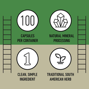 Chanca Piedra Organic Capsules 500Mg - Phyllanthus Niruri Stonebreaker Extract, Kidney Gallbladder Liver Support, 100 Chanca Piedra Capsules, Non GMO, Alcohol Free, Vegan Herbal Supplement Made in USA