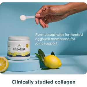 Ancient Nutrition Creatine + Collagen + Electrolytes – Muscle Strength, Lean Body Mass, Joint Comfort & Cognitive Support – Includes 5G Creatine Monohydrate for Women, Lemon (30 Servings)