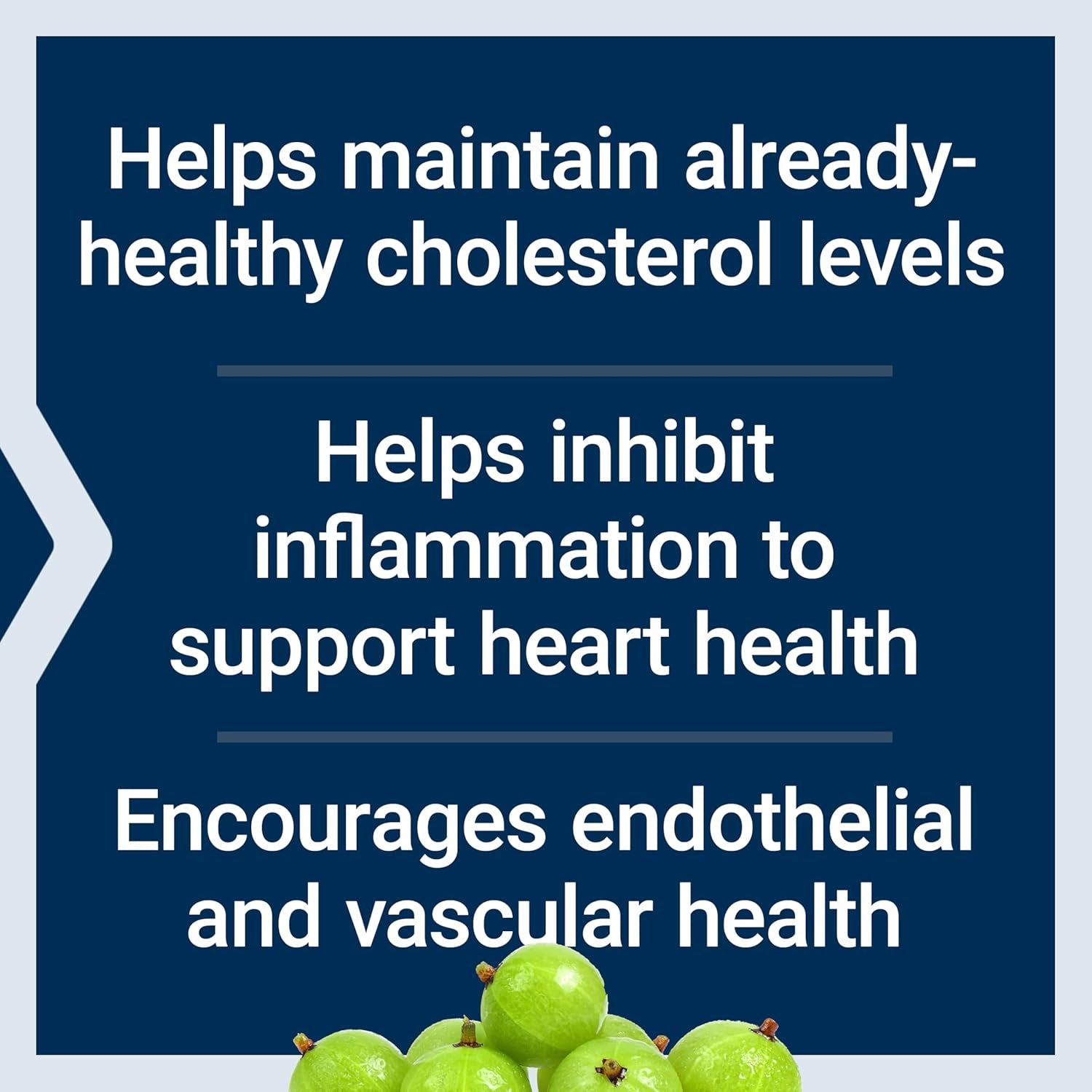 Life Extension Advanced Lipid Control, Amla Extract, Indian Gooseberry, Heart Health, Endothelial Health, Vegetarian, Gluten-Free, 60 Capsules