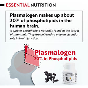 REMORY Plasmalogen Sea Squirt Supplement - Brain Health Supplement - 30 Days Supply