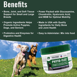 Dogzymes Phyto Flex - Glucosamine, Chondroitin, MSM and Hyaluronic Acid… (1 Pound)