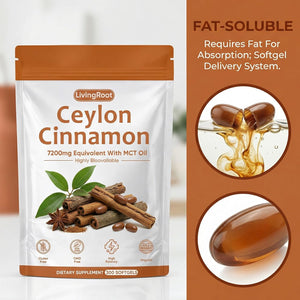 Living Root Ceylon Cinnamon - 300 Softgels 7200Mg Equivalent with MCT Oil, Livingroot Organic Ceylon Cinnamon Powder Supplement for Supports Metabolism, Liver Function & Energy (1)