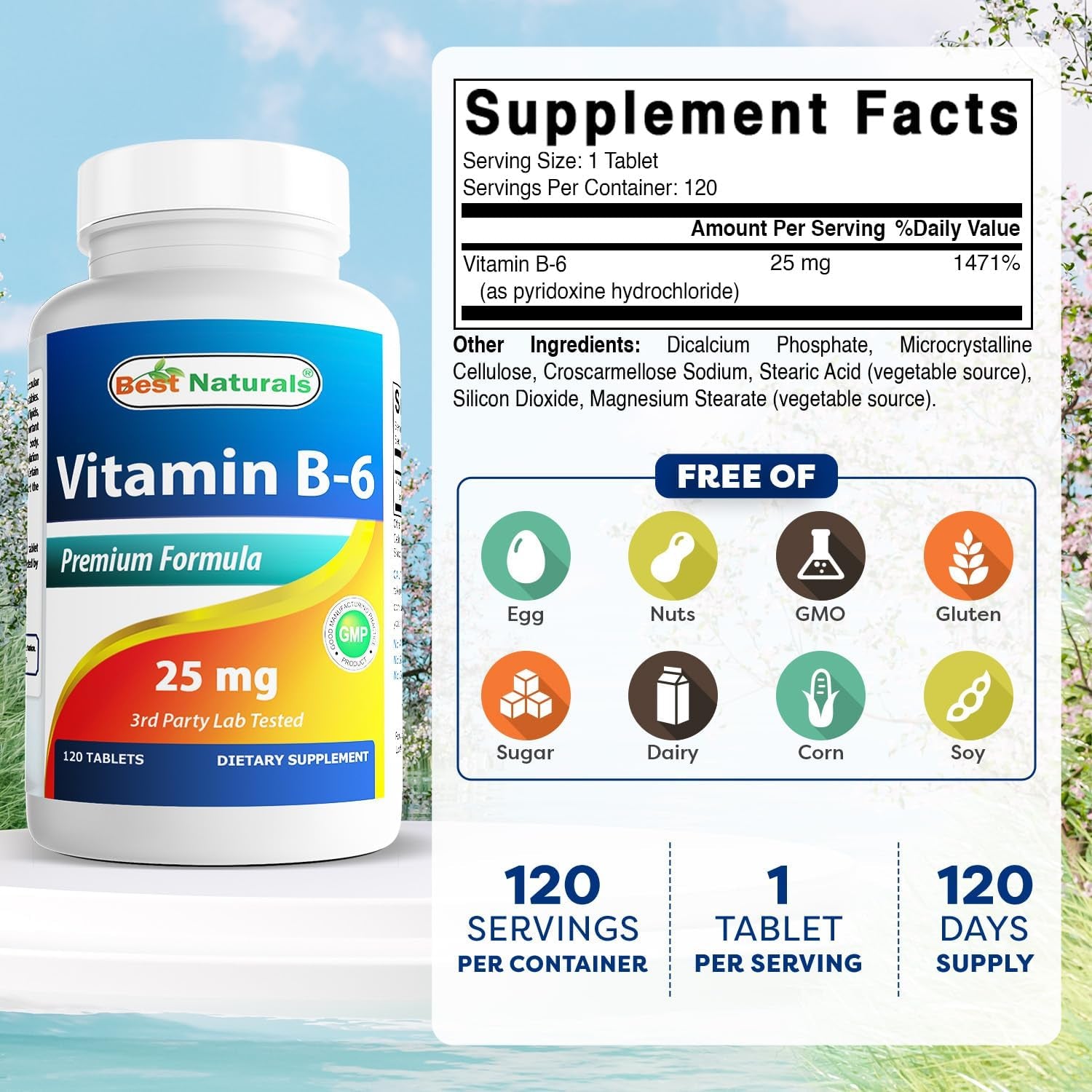 Best Naturals Vitamin B6 25Mg, 120 Tablets (120 Count (Pack of 1))