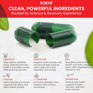 SOB+R Natural Drug Recovery Supplement | Alcohol Craving Blocker for Addiction Support | Restores Nutrients, Boost Mental Clarity | Vegetarian Capsules - Therapist Formulated, Made in USA | 30 Count