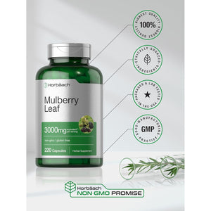 Horbäach Mulberry Leaf Extract Capsules | 220 Count | Non-Gmo, Gluten Free Herbal Supplement