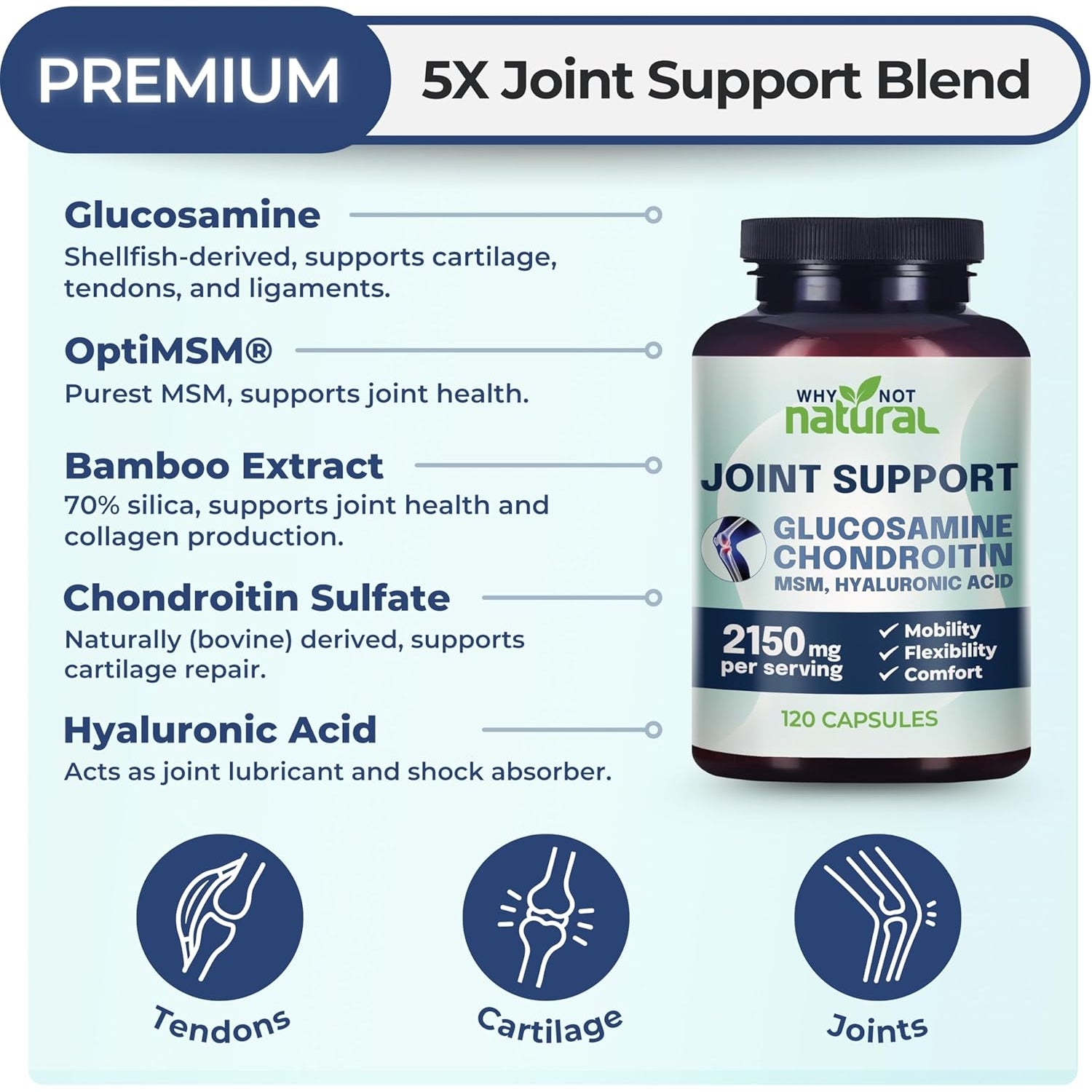 Why Not Natural Glucosamine Chondroitin, MSM, Joint Support Supplements - Knee Pain Joints Health Suppplement