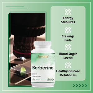 Juvona Berberine – Advanced Formula | Non-Gmo | 60 Capsules