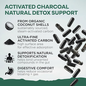 Wild Foods Activated Charcoal Capsules | 100% Organic Coconut Shells Active Tablets | Lab Tested & Non-Gmo Pills | Made in USA (120 Capsules)