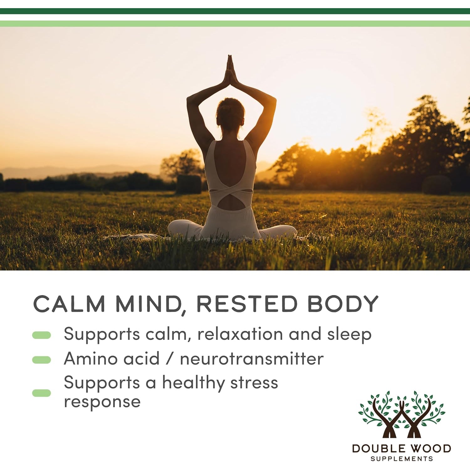 GABA Supplement (300 Capsules, 1,000Mg per Serving) Promotes Calm, Relaxation, and Supports Sleep (Vegan Safe, Gluten Free, Non-Gmo)(Gamma Aminobutyric Acid) by Double Wood