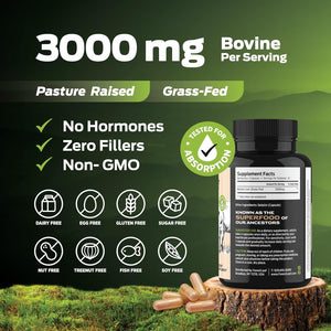 Forestleaf Grass Fed Beef Liver Capsules, 3000Mg per Serving, Supports Immunity & Body Wellness, Cleansing, Digestion, Natural Iron, Vitamin a and B12, Freeze Dried Beef Liver Supplement, 180 Caps