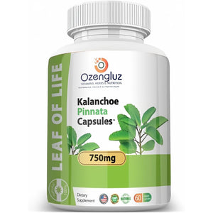 Kalanchoe Pinnata-Leaf of Life (Bryophyllum Pinnatum) 60 Cápsulas De 750Mg Bottle.