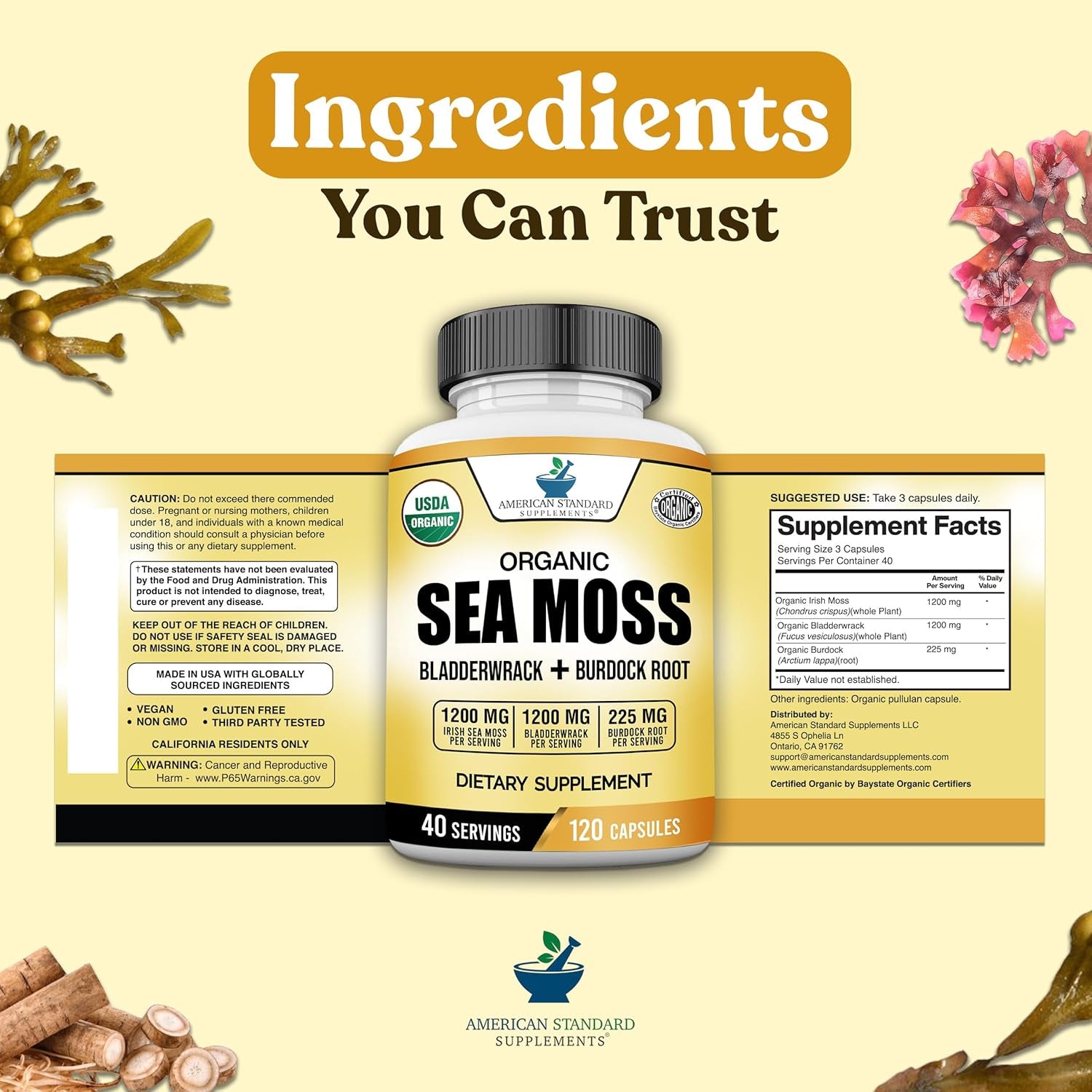 American Standard Supplements Organic Sea Moss, Bladderwrack & Burdock Root Capsules - 1200Mg Seamoss, 1200Mg Bladderwrack, 225Mg Burdock Root per Serving - 120 Capsules, 40 Servings