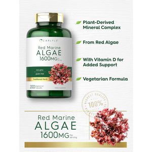 Carlyle Red Marine Algae 1600Mg | 200 Capsules | Vegetarian Supplement | Non-Gmo, Gluten Free