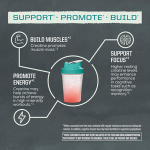 Creatine Monohydrate Powder Micronized Preworkout Recovery Supplement | Support Muscle Building Strength Training Cognition | Vegan & Keto Friendly Easily Mixes (60 Serving) Unflavored Active Creatine