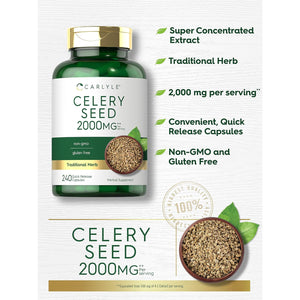 Carlyle Celery Seed Extract Capsules | 240 Count | Traditional Herb Supplement | Non-Gmo and Gluten Free Formula