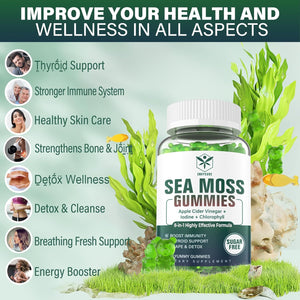 Sea Moss Gummies Sugar-Free, Extra Strength Irish Moss Gel Supplement with Iodine, Chlorophyll, Unfiltered ACV, D3, Burdock Root, Bladderwrack for Immune, Digestive, Skin, Hair, Det❤️X, Vegan, 2Pack