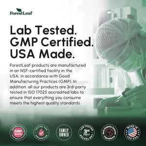 Forestleaf Berberine Supplement - 1300Mg per Serving - Ultra High Potency Berberine Hcl with Ceylon Cinnamon, Bitter Melon & Gymnema - GLP-1 Weight Management Support - 180 Caps