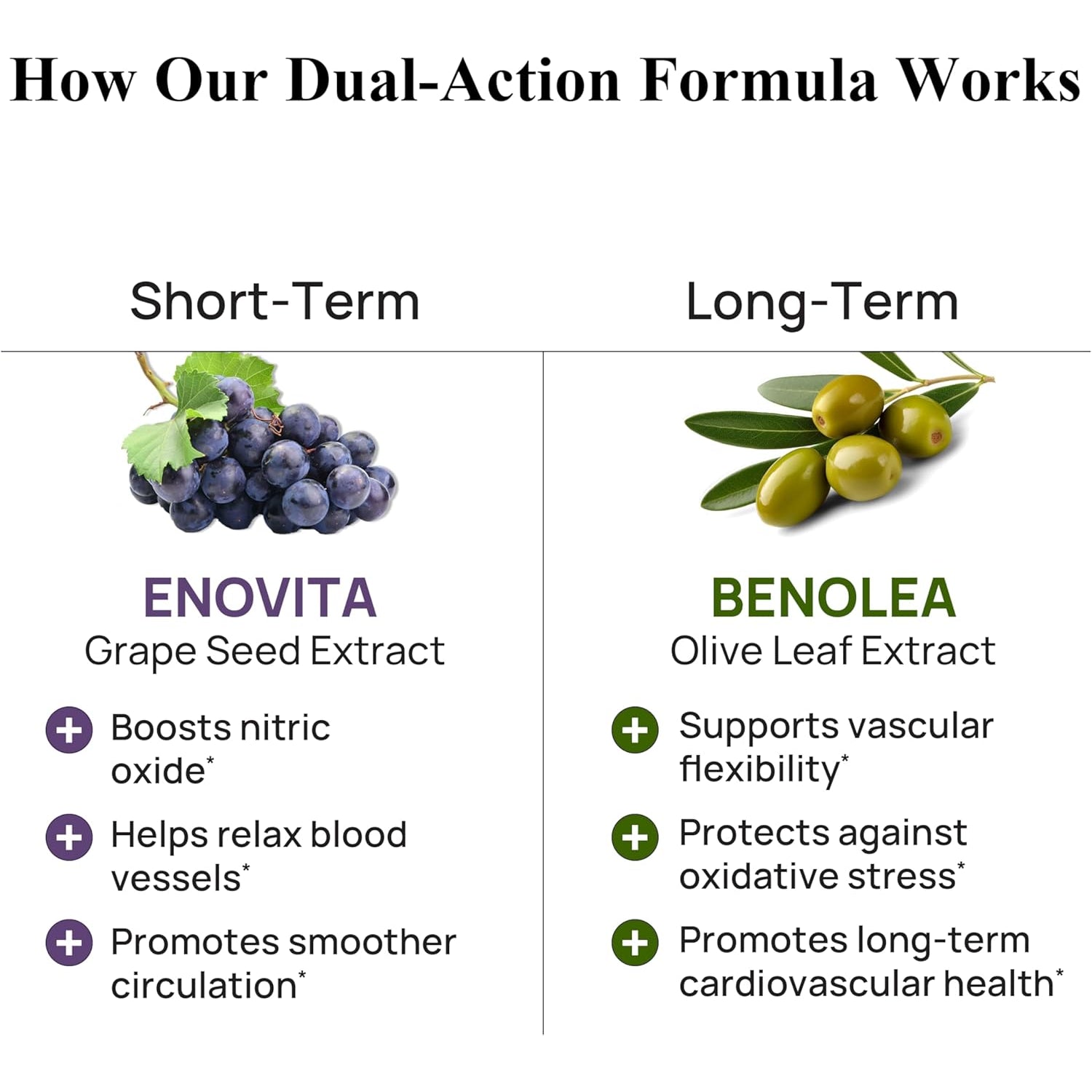 Durable Blood Pressure – Benolea Olive Leaf & Enovita Grape Seed Extract – Healthy Circulation, Nitric Oxide & Artery Support – Doctor Formulated, Vegan, Non-Gmo, Made in USA (60 Capsules)