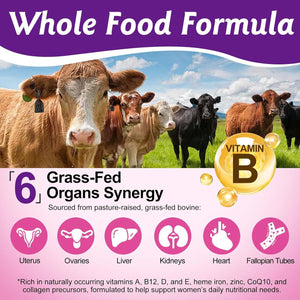 Beef Organ Supplement for Women, Female-Optimized Beef Organs Superfood Supplement, 100% Grass Fed - Balance Hormones, Energy & Female Wellness for Women (60 Count (Pack of 1))
