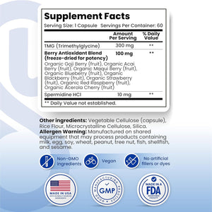 Spermidine Supplements for Men and Women–10 Mg Spermidine Hcl Complex with TMG & Organic Berry Antioxidants–Cellular Health Support–60 Capsules (60-Day Supply) for Healthy Aging & Longevity