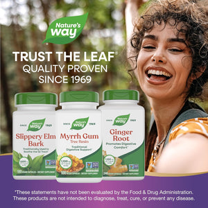 Nature'S Way Myrrh Gum Tree Resin, Traditional Digestive Support*, 1.1 G per 2-Capsule Serving, Non-Gmo Project Verified, No Gluten, 100 Vegan Capsules (Packaging May Vary)