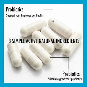 Probiohealth: Probiotics 6 Billion CFU, Probiotics for Women and Men, Lactobacillus Casei (KE-99), FOS, Trehalose, Vegetarian Capsules, 60 Count