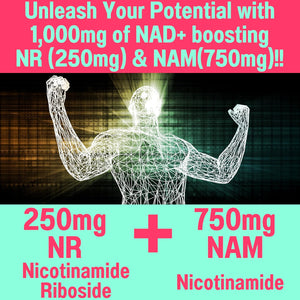 SHIZAM Nicotinamide Riboside NR NAM Resveratrol Gummies, 1000Mg NAD+ NAD + plus Nrf2 Activator Booster W Pure Niacinamide Vitamins B3 Capsules Pills Powder Supplements Alt NDA Regenerator 500Mg