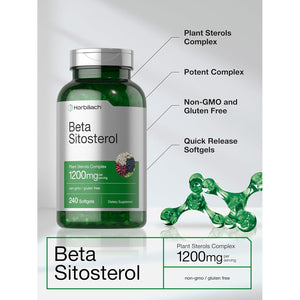 Horbäach Beta Sitosterol 1200Mg | 240 Softgel Capsules | Mega Strength | Plant Sterols Complex | Non-Gmo, Gluten Free Supplement