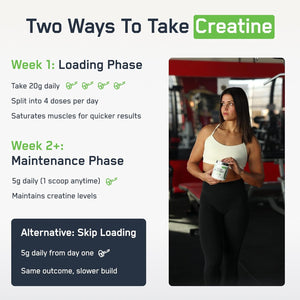 Steelfit Creapure Creatine Monohydrate Powder, Unflavored - German Micronized Creatine Powder for Men & Women - Gym Workout Nutritional Supplements for Muscle Gain, Brain Health & Strength Building