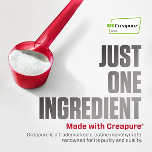Dymatize Creatine Monohydrate Powder with CREAPURE (Product of Germany), 5G per Serving, 60 Servings (300G), Creatine for Women and Men, Gluten Free