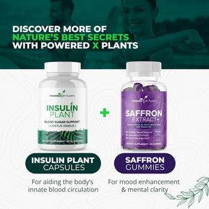 Insulin Plant Capsules - 3000Mg Costus Igneus Leaf Powder with No Binders, Fillers & Gluten - Vegan, Non GMO Supplements for Women & Men by Powered X Plants, 240 Capsules