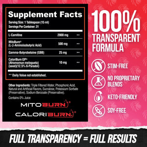 ALPHA LION Burn2O L-Carnitine Liquid 2000Mg, Premium Liquid Fat Burner & Pre-Workout Supplement for Men & Women - Natural Energy & Metabolism Booster for Weight Loss - Shredberry