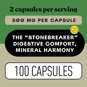 Chanca Piedra Organic Capsules 500Mg - Phyllanthus Niruri Stonebreaker Extract, Kidney Gallbladder Liver Support, 100 Chanca Piedra Capsules, Non GMO, Alcohol Free, Vegan Herbal Supplement Made in USA