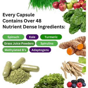 Paradise Herbs Earth'S Blend Once Daily Multivitamin with Iron, 48 Organic Superfoods, Probiotics, Antioxidants, Vitamins A, B12, C, D, K2, 60 Capsules