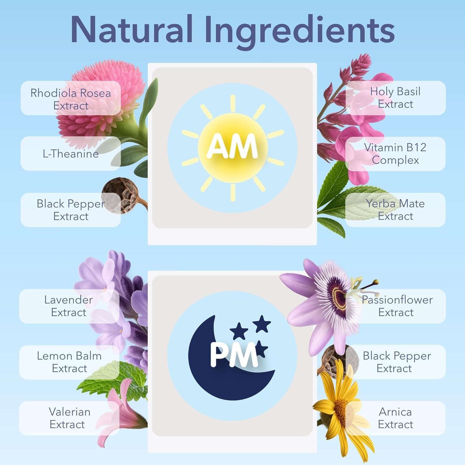 Laki Naturals Jet Lag AM & PM Travel Patches (1 Count, Pack of 8) – Natural Day & Night Support for Travelers – Energy, Focus & Restful Sleep – with B12, Valerian, Lavender & More