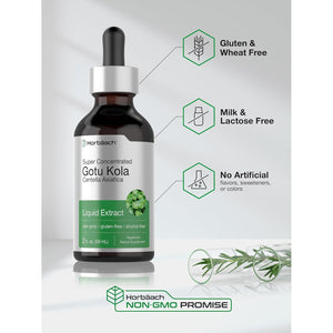 Horbäach Gotu Kola Extract | 2 Fl Oz | Alcohol Free | Super Concentrated Liquid Herb Supplement | Vegetarian, Non-Gmo, Gluten Free