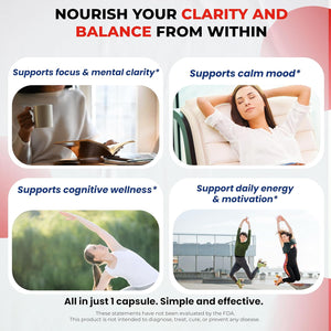 Dopamine Focus Supplement Ashwagandha 5-HTP Rhodiola Rosea St. John'S Wort - Increase Memory Clarity Focus Restore Relax with VIT B1, B6, B12, L-Theanine